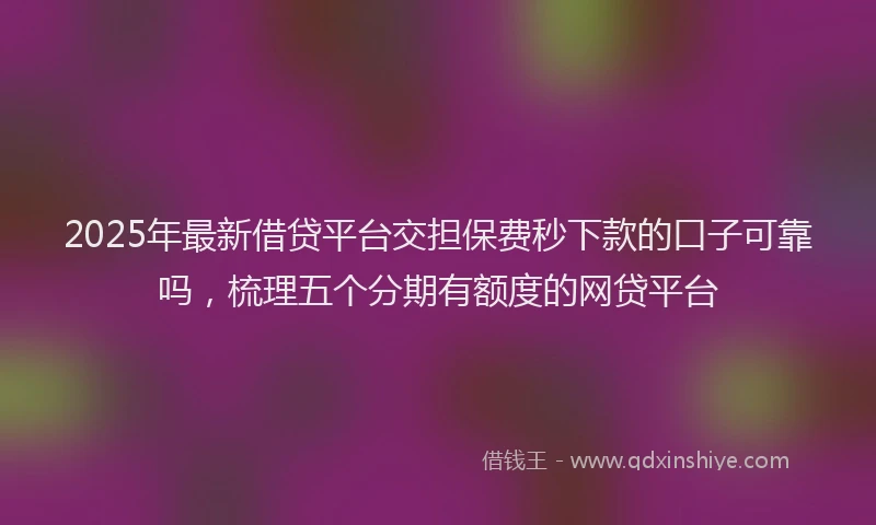 2025年最新借贷平台交担保费秒下款的口子可靠吗，梳理五个分期有额度的网贷平台