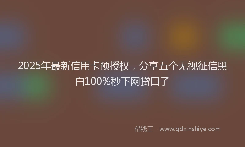 2025年最新信用卡预授权，分享五个无视征信黑白100%秒下网贷口子