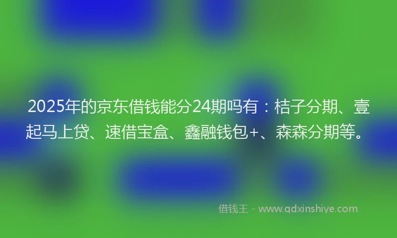 2025年的京东借钱能分24期吗有：桔子分期、壹起马上贷、速借宝盒、鑫融钱包+、森森分期等。