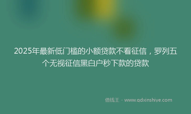 2025年最新低门槛的小额贷款不看征信，罗列五个无视征信黑白户秒下款的贷款