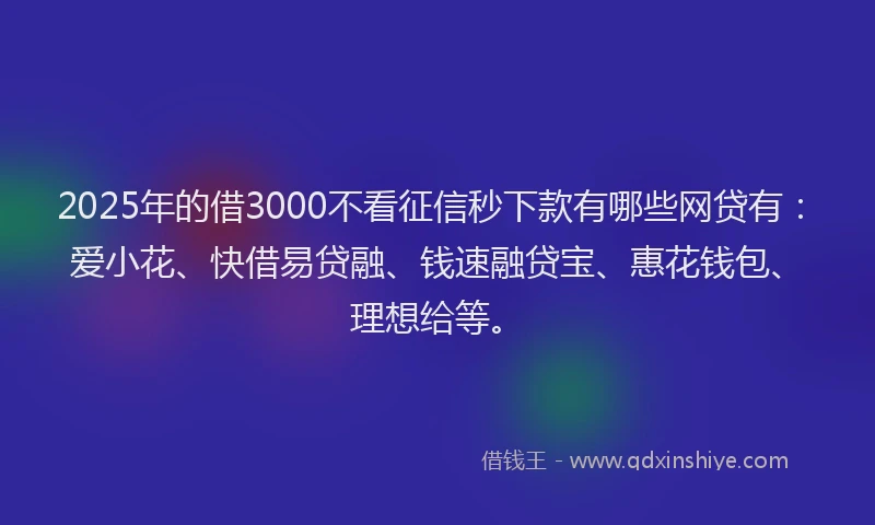 2025年的借3000不看征信秒下款有哪些网贷有：爱小花、快借易贷融、钱速融贷宝、惠花钱包、理想给等。