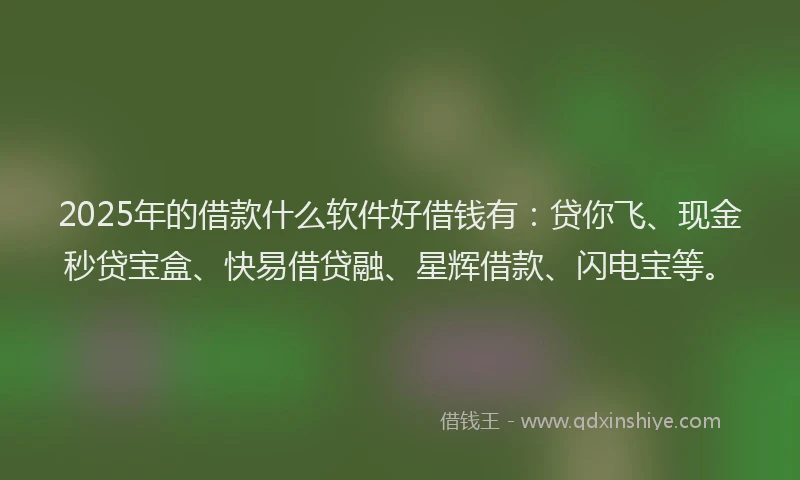 2025年的借款什么软件好借钱有：贷你飞、现金秒贷宝盒、快易借贷融、星辉借款、闪电宝等。