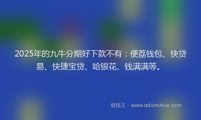 2025年的九牛分期好下款不有：便荔钱包、快贷易、快捷宝贷、哈银花、钱满满等。