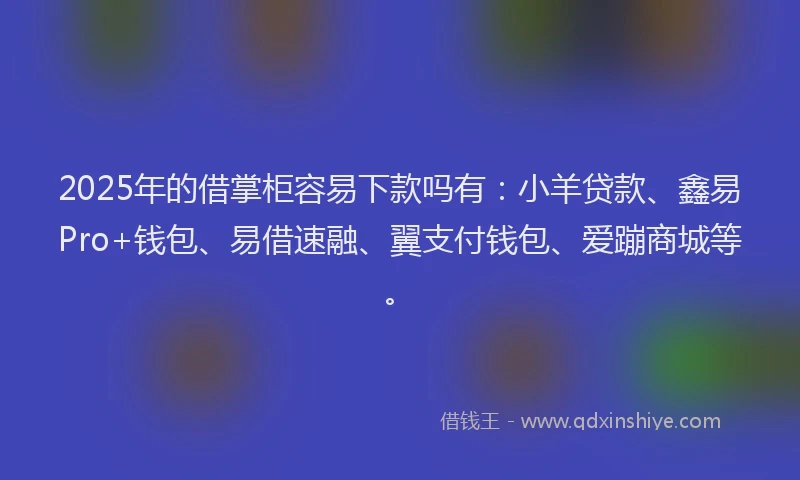 2025年的借掌柜容易下款吗有：小羊贷款、鑫易Pro+钱包、易借速融、翼支付钱包、爱蹦商城等。