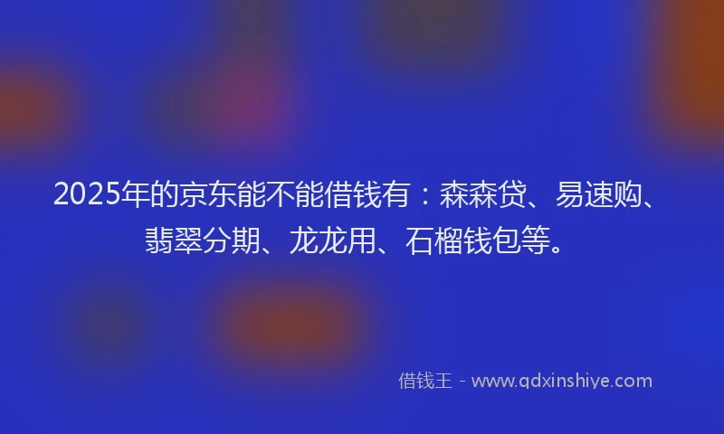 2025年的京东能不能借钱有：森森贷、易速购、翡翠分期、龙龙用、石榴钱包等。