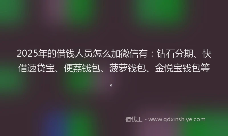 2025年的借钱人员怎么加微信有：钻石分期、快借速贷宝、便荔钱包、菠萝钱包、金悦宝钱包等。