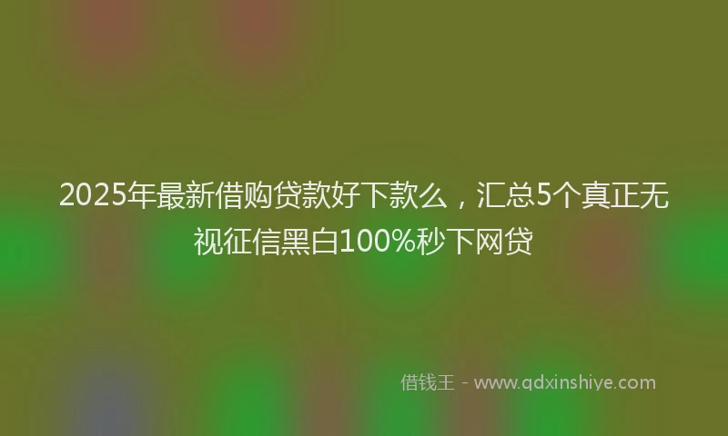 2025年最新借购贷款好下款么，汇总5个真正无视征信黑白100%秒下网贷