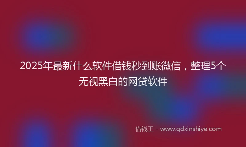 2025年最新什么软件借钱秒到账微信，整理5个无视黑白的网贷软件