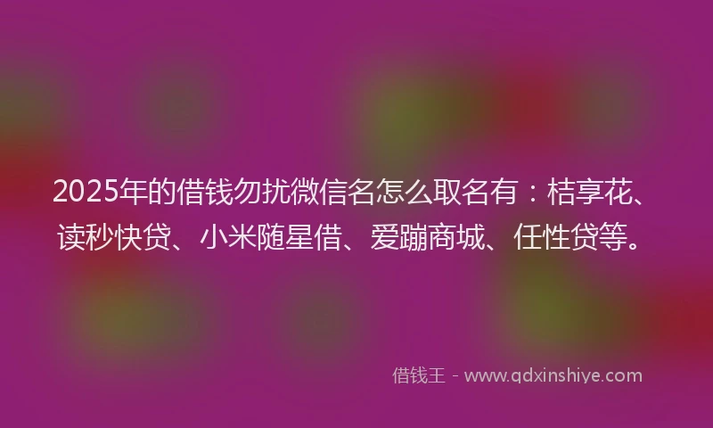 2025年的借钱勿扰微信名怎么取名有：桔享花、读秒快贷、小米随星借、爱蹦商城、任性贷等。
