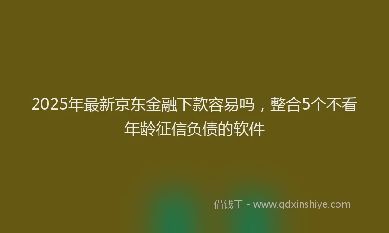 2025年最新京东金融下款容易吗，整合5个不看年龄征信负债的软件