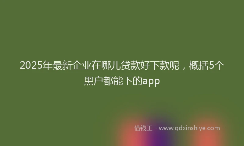 2025年最新企业在哪儿贷款好下款呢，概括5个黑户都能下的app