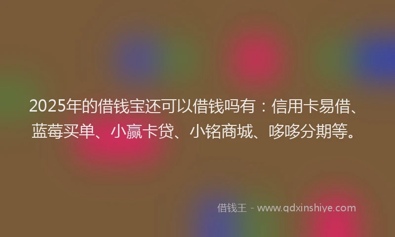 2025年的借钱宝还可以借钱吗有：信用卡易借、蓝莓买单、小赢卡贷、小铭商城、哆哆分期等。