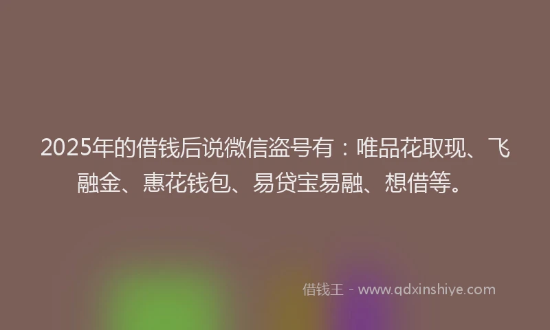 2025年的借钱后说微信盗号有：唯品花取现、飞融金、惠花钱包、易贷宝易融、想借等。