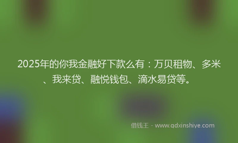 2025年的你我金融好下款么有：万贝租物、多米、我来贷、融悦钱包、滴水易贷等。