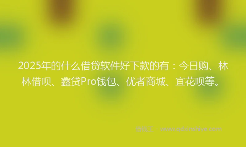 2025年的什么借贷软件好下款的有：今日购、林林借呗、鑫贷Pro钱包、优者商城、宜花呗等。