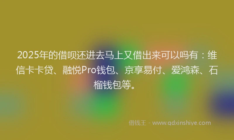 2025年的借呗还进去马上又借出来可以吗有：维信卡卡贷、融悦Pro钱包、京享易付、爱鸿森、石榴钱包等。