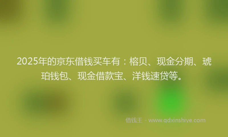 2025年的京东借钱买车有：榕贝、现金分期、琥珀钱包、现金借款宝、洋钱速贷等。