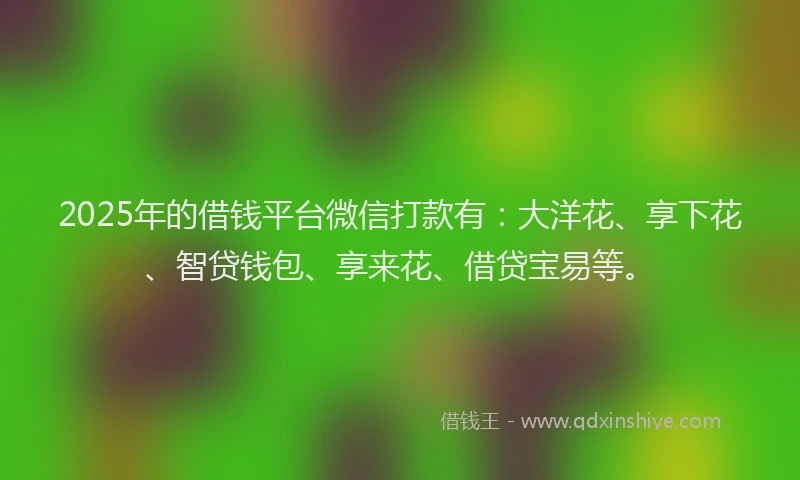 2025年的借钱平台微信打款有：大洋花、享下花、智贷钱包、享来花、借贷宝易等。