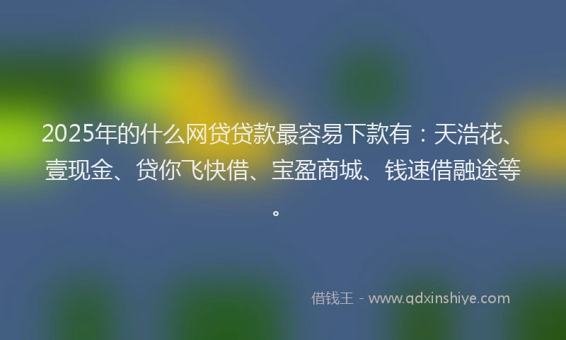 2025年的什么网贷贷款最容易下款有：天浩花、壹现金、贷你飞快借、宝盈商城、钱速借融途等。