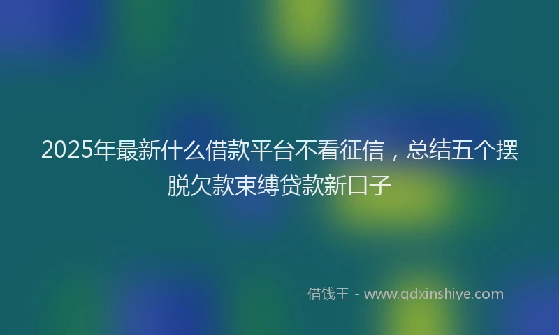 2025年最新什么借款平台不看征信，总结五个摆脱欠款束缚贷款新口子
