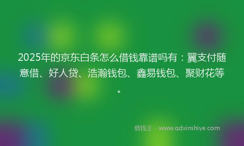 2025年的京东白条怎么借钱靠谱吗有：翼支付随意借、好人贷、浩瀚钱包、鑫易钱包、聚财花等。