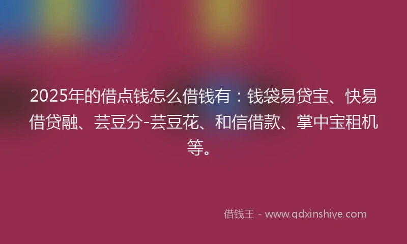 2025年的借点钱怎么借钱有：钱袋易贷宝、快易借贷融、芸豆分-芸豆花、和信借款、掌中宝租机等。