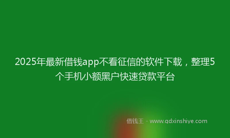 2025年最新借钱app不看征信的软件下载，整理5个手机小额黑户快速贷款平台