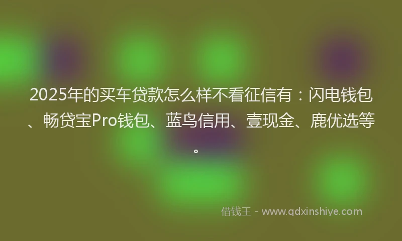 2025年的买车贷款怎么样不看征信有：闪电钱包、畅贷宝Pro钱包、蓝鸟信用、壹现金、鹿优选等。