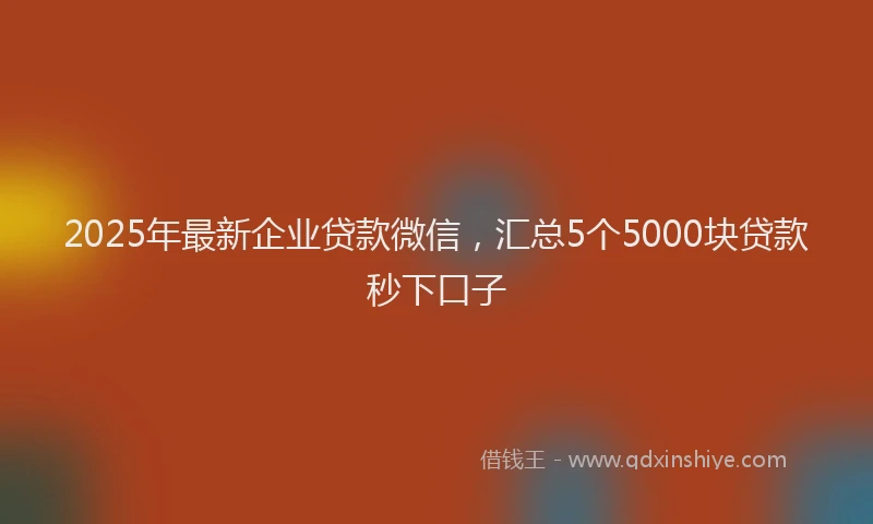 2025年最新企业贷款微信，汇总5个5000块贷款秒下口子