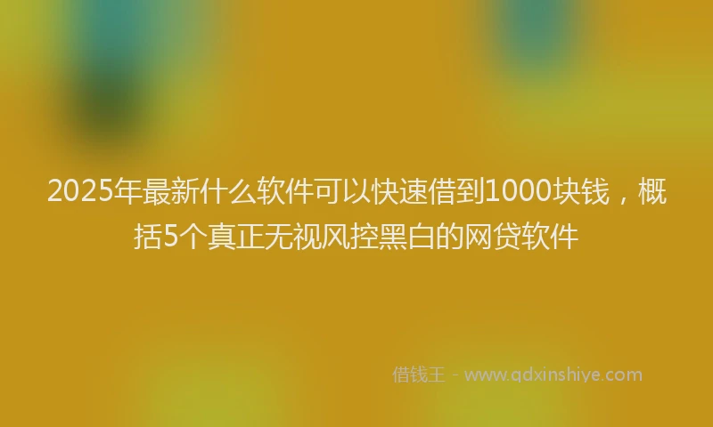 2025年最新什么软件可以快速借到1000块钱，概括5个真正无视风控黑白的网贷软件