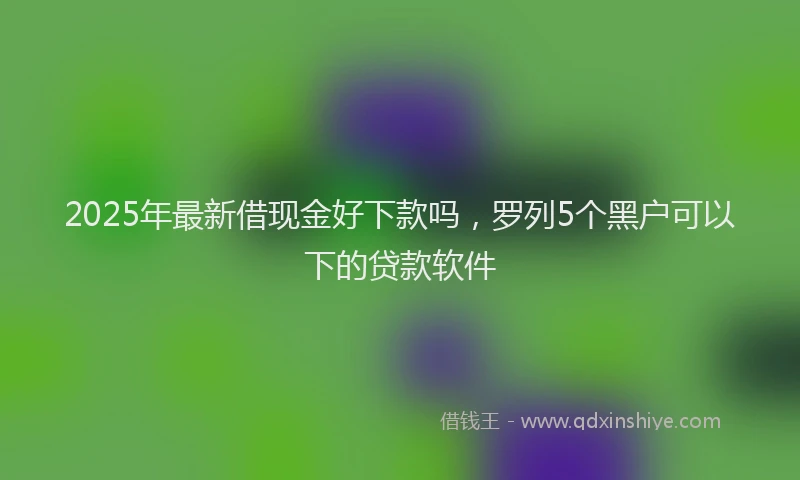 2025年最新借现金好下款吗，罗列5个黑户可以下的贷款软件