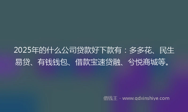 2025年的什么公司贷款好下款有：多多花、民生易贷、有钱钱包、借款宝速贷融、兮悦商城等。
