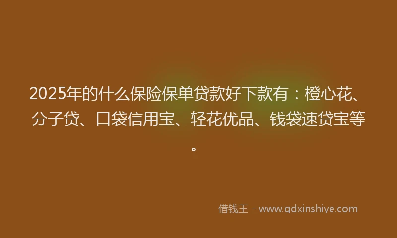 2025年的什么保险保单贷款好下款有：橙心花、分子贷、口袋信用宝、轻花优品、钱袋速贷宝等。