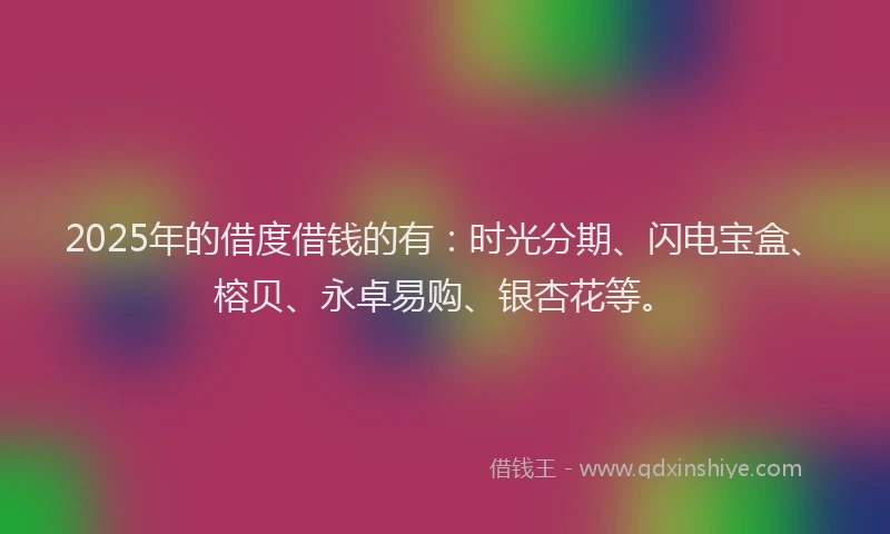 2025年的借度借钱的有：时光分期、闪电宝盒、榕贝、永卓易购、银杏花等。