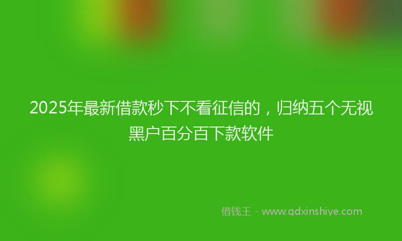 2025年最新借款秒下不看征信的，归纳五个无视黑户百分百下款软件