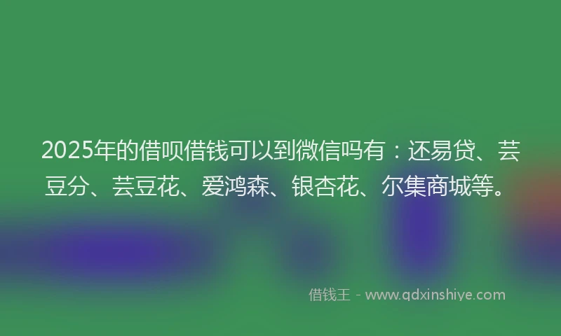 2025年的借呗借钱可以到微信吗有：还易贷、芸豆分、芸豆花、爱鸿森、银杏花、尔集商城等。