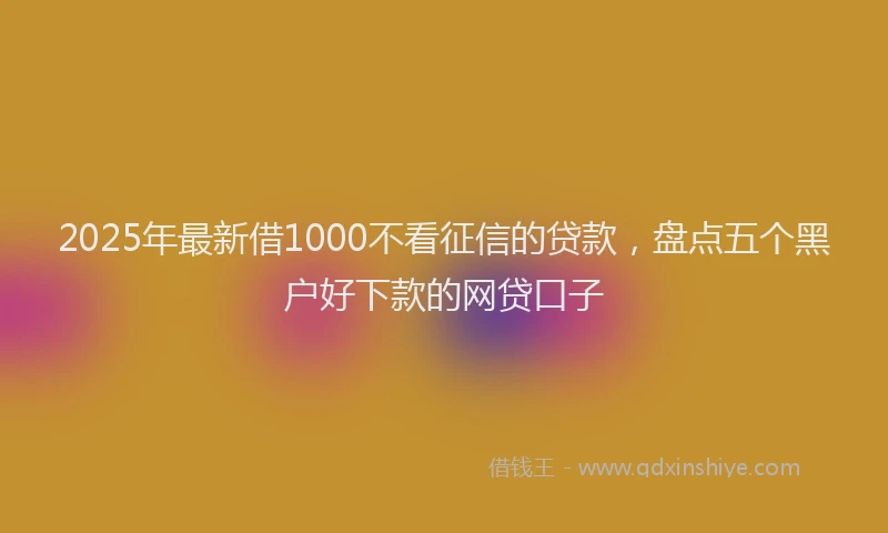 2025年最新借1000不看征信的贷款，盘点五个黑户好下款的网贷口子