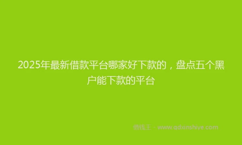 2025年最新借款平台哪家好下款的，盘点五个黑户能下款的平台
