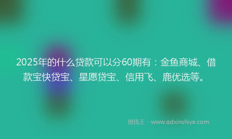 2025年的什么贷款可以分60期有：金鱼商城、借款宝快贷宝、星愿贷宝、信用飞、鹿优选等。