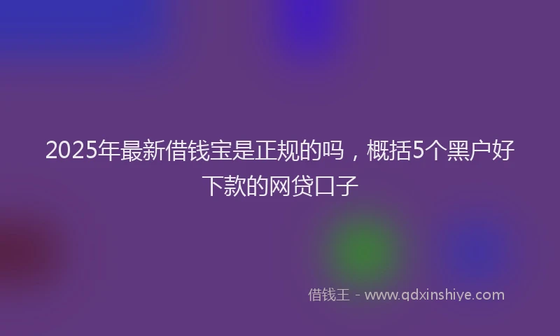 2025年最新借钱宝是正规的吗，概括5个黑户好下款的网贷口子