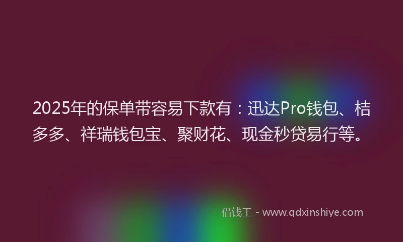 2025年的保单带容易下款有：迅达Pro钱包、桔多多、祥瑞钱包宝、聚财花、现金秒贷易行等。