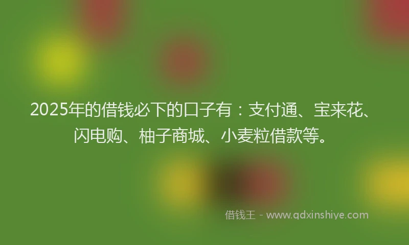 2025年的借钱必下的口子有：支付通、宝来花、闪电购、柚子商城、小麦粒借款等。