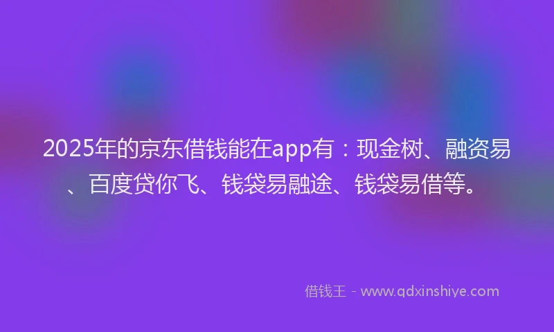 2025年的京东借钱能在app有：现金树、融资易、百度贷你飞、钱袋易融途、钱袋易借等。