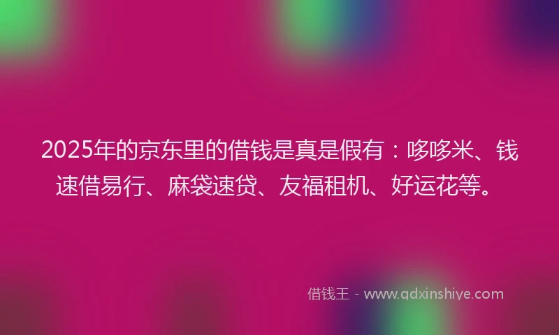 2025年的京东里的借钱是真是假有：哆哆米、钱速借易行、麻袋速贷、友福租机、好运花等。