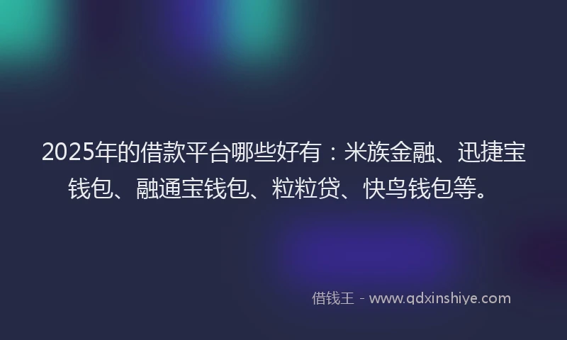 2025年的借款平台哪些好有：米族金融、迅捷宝钱包、融通宝钱包、粒粒贷、快鸟钱包等。