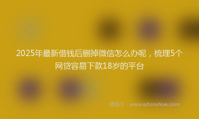 2025年最新借钱后删掉微信怎么办呢，梳理5个网贷容易下款18岁的平台