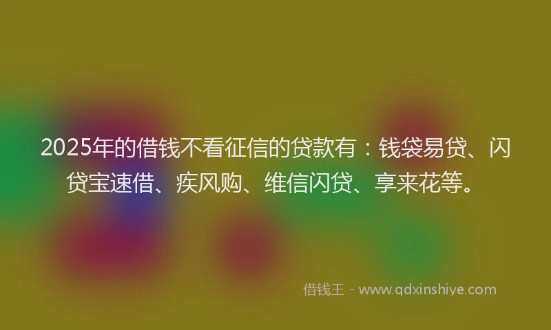2025年的借钱不看征信的贷款有：钱袋易贷、闪贷宝速借、疾风购、维信闪贷、享来花等。
