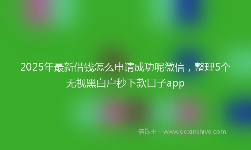 2025年最新借钱怎么申请成功呢微信，整理5个无视黑白户秒下款口子app