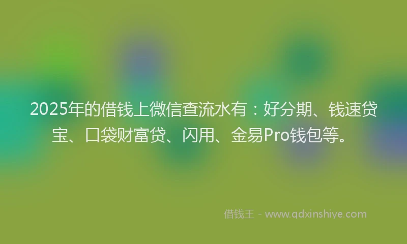 2025年的借钱上微信查流水有：好分期、钱速贷宝、口袋财富贷、闪用、金易Pro钱包等。
