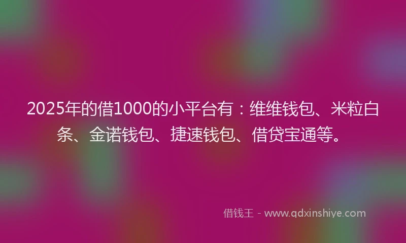 2025年的借1000的小平台有：维维钱包、米粒白条、金诺钱包、捷速钱包、借贷宝通等。